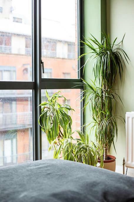 Spacious Belfast City Centre Duplex Apartment Kültér fotó